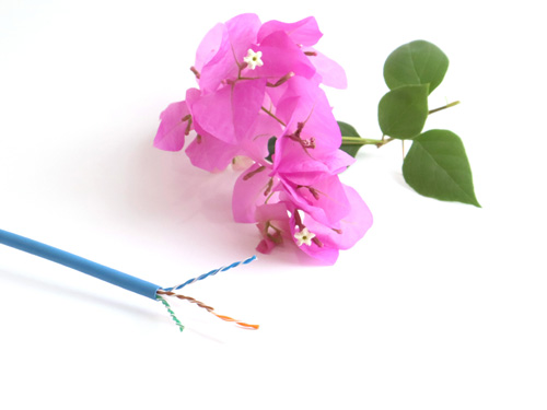 Dây cáp mạng Cat5e và Cat6 khác nhau ở điểm gì?